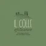 Il Colle Casa de hóspedes Crespina
