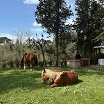 Il Colle 3* Crespina