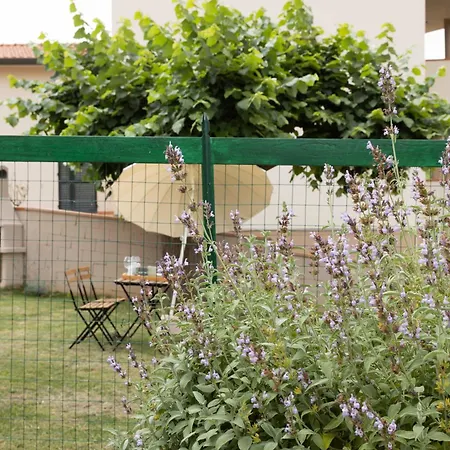 Guest house Il Colle Crespina