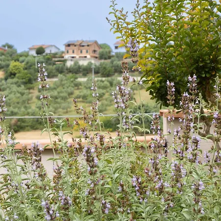 Il Colle Guest house Crespina
