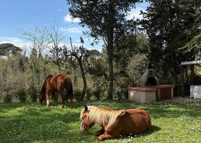 Il Colle 3* Crespina